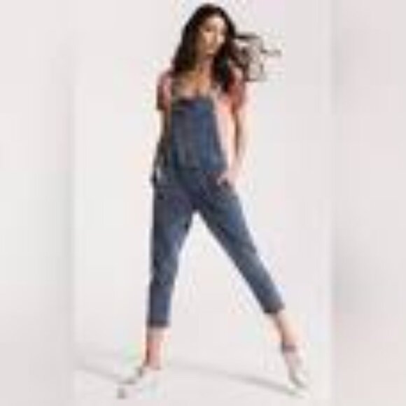 Z Supply Grey Slouch Overalls Medium - Picture 3 of 10